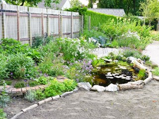 10 Na 3 maanden tuin Liesbeth 3