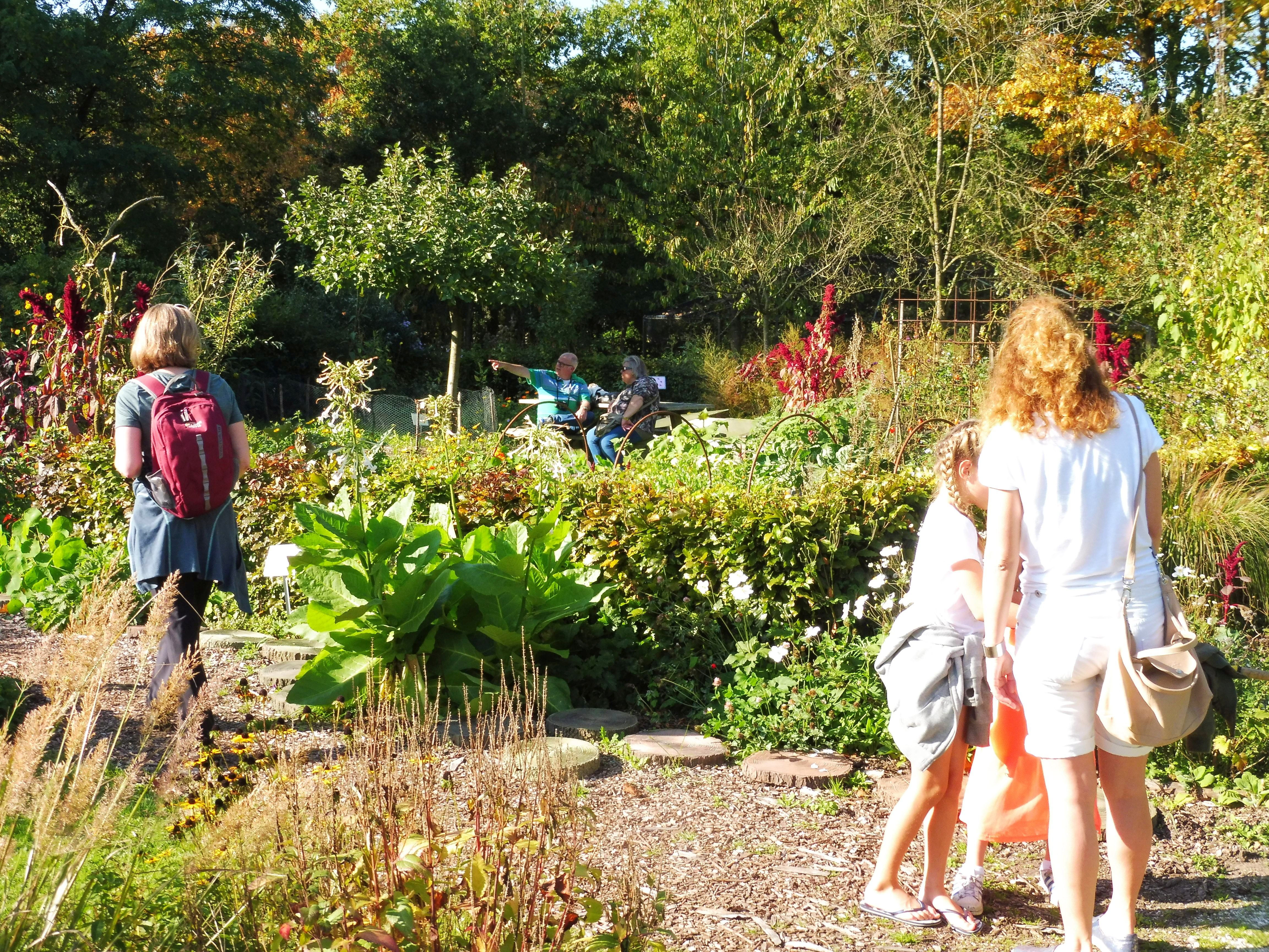 Nazomertuindag, plantenverkoop, droge-tuininfo en meer...