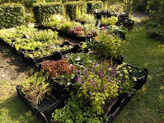 IMG_20220916_111000