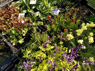 IMG_20220916_111116