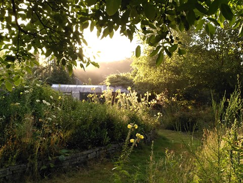 a Naturentuin groen en bloeiend, aug 2022