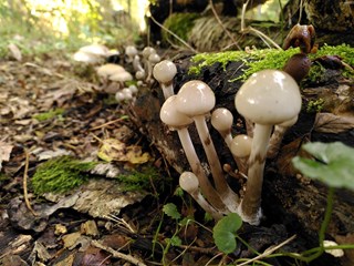 IMG_20220929_153656