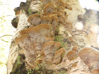 P1070540