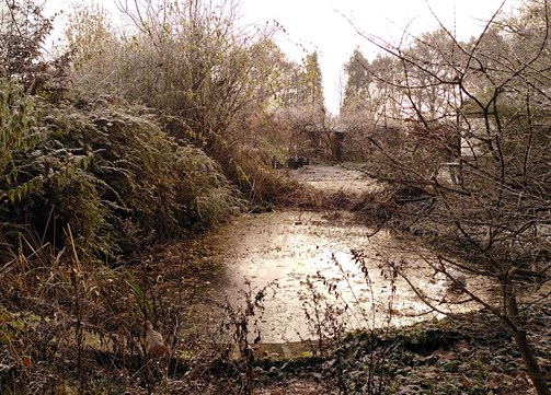 Winter 3