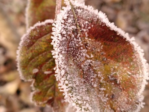 Winter 6