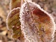Winter 6