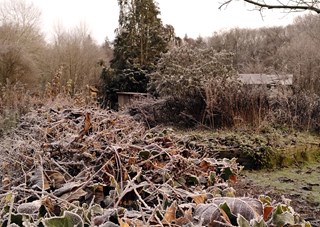 Winter 1