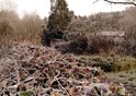 Winter 1