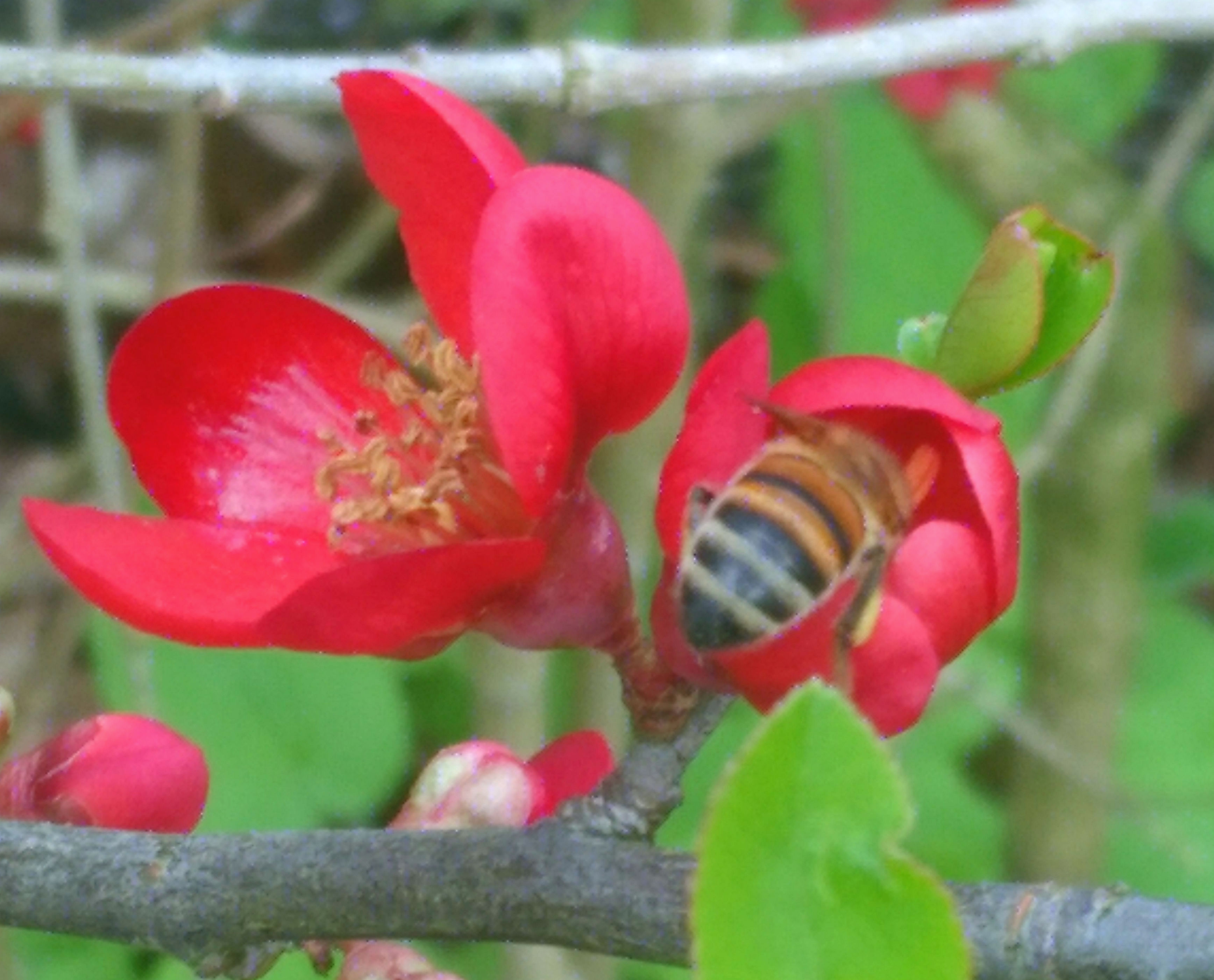 Het nieuwe seizoen gaat weer beginnen!