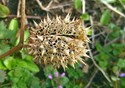 IMG_20200318_160313