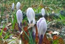 IMG_20200302_163753