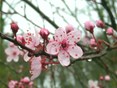 IMG_20200302_163627