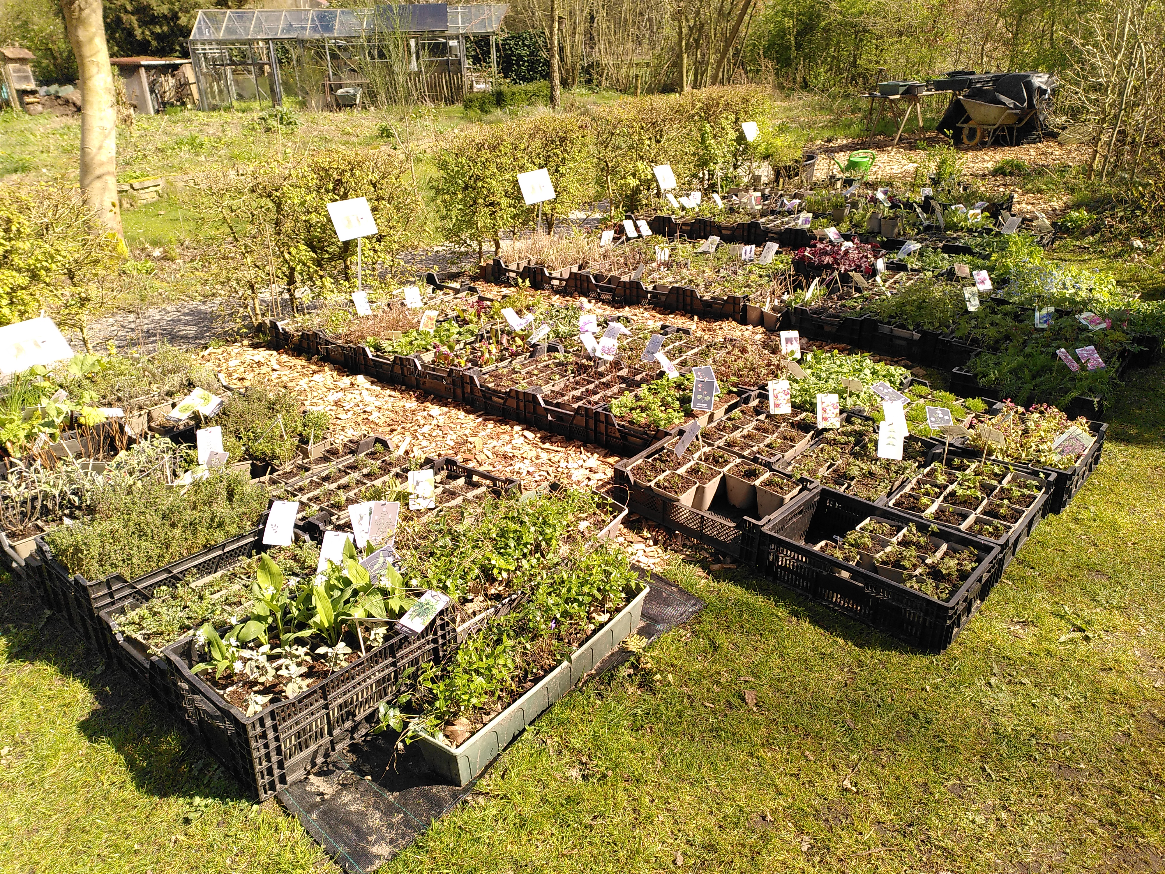 Plantjesdag en bijentelling zondag 13 april