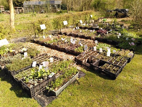 IMG_20240328_132101 IMG_20240328_132101