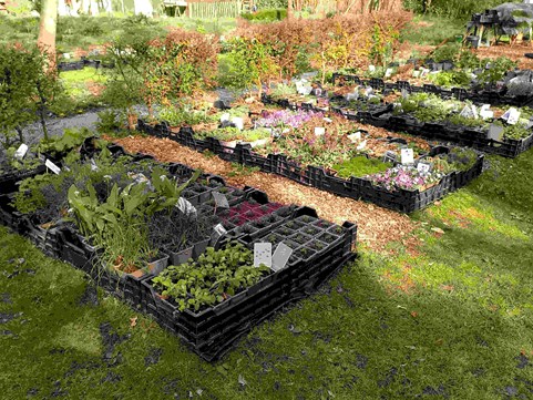 De plantjes staan klaar april 2023 1