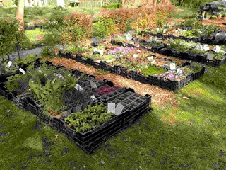 De plantjes staan klaar april 2023 1