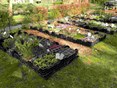 De plantjes staan klaar april 2023 1