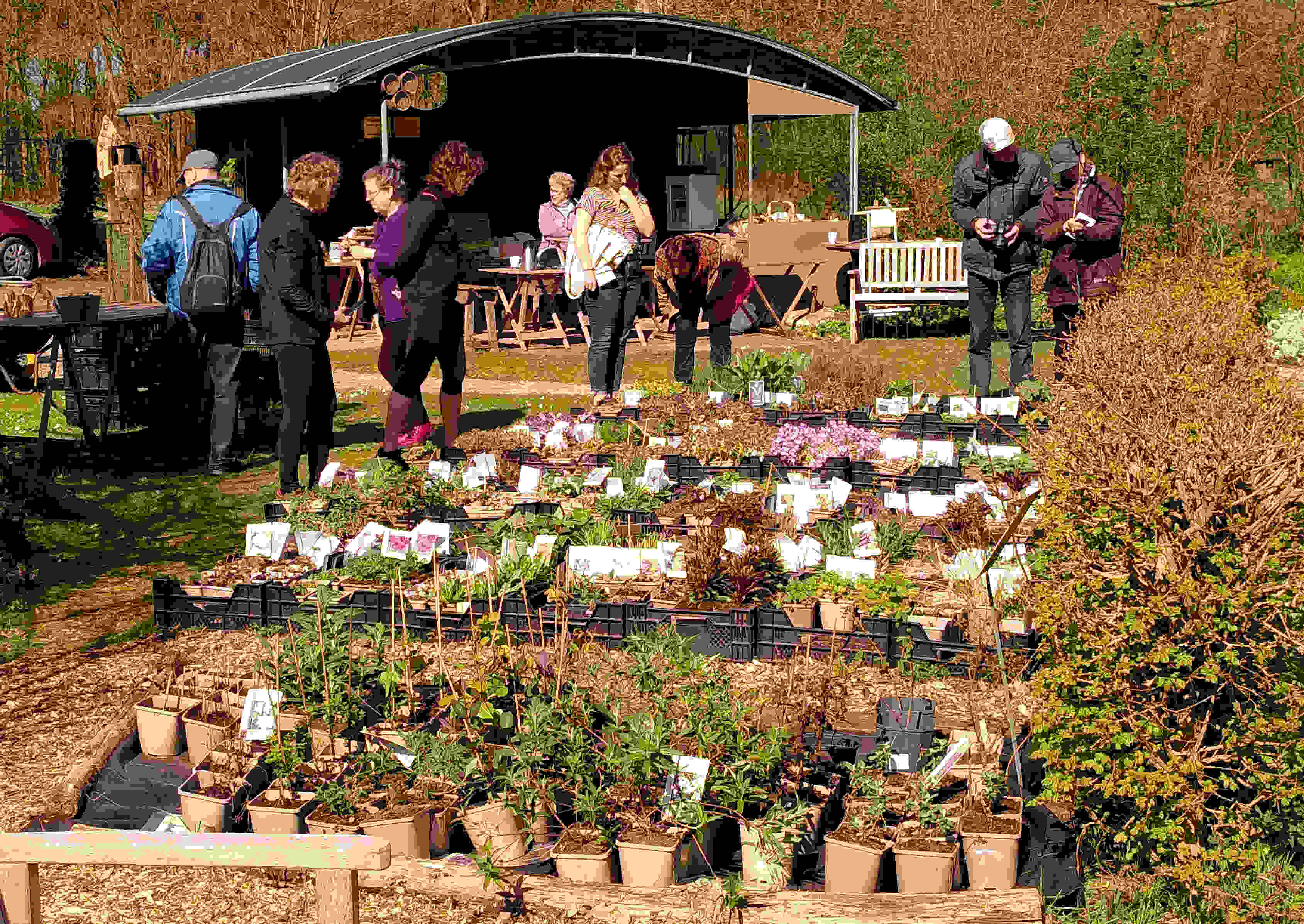 Plantenverkoop terugblik en vervolg tot begin juni