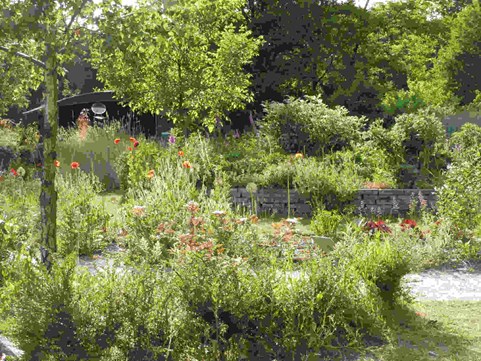 Ecotuindagen Naturentuin 2