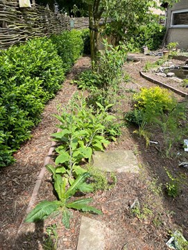 IMG-20230518-WA0017