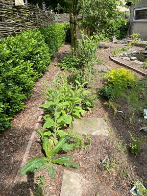 IMG-20230518-WA0017