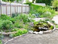 10 Na 3 maanden tuin Liesbeth 3