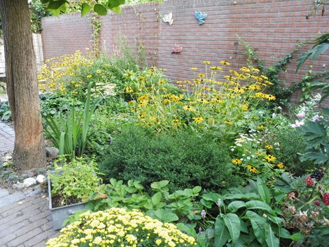 16 Tuin Cor en Peer na 5 maanden