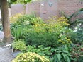 16 Tuin Cor en Peer na 5 maanden
