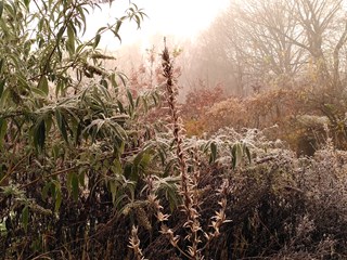 IMG_20231130_094155