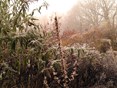IMG_20231130_094155