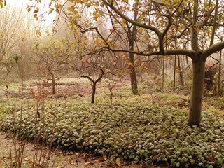 IMG_20231130_093858