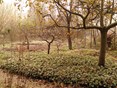 IMG_20231130_093858