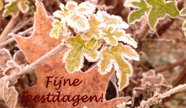 Fijne feestdagen 4
