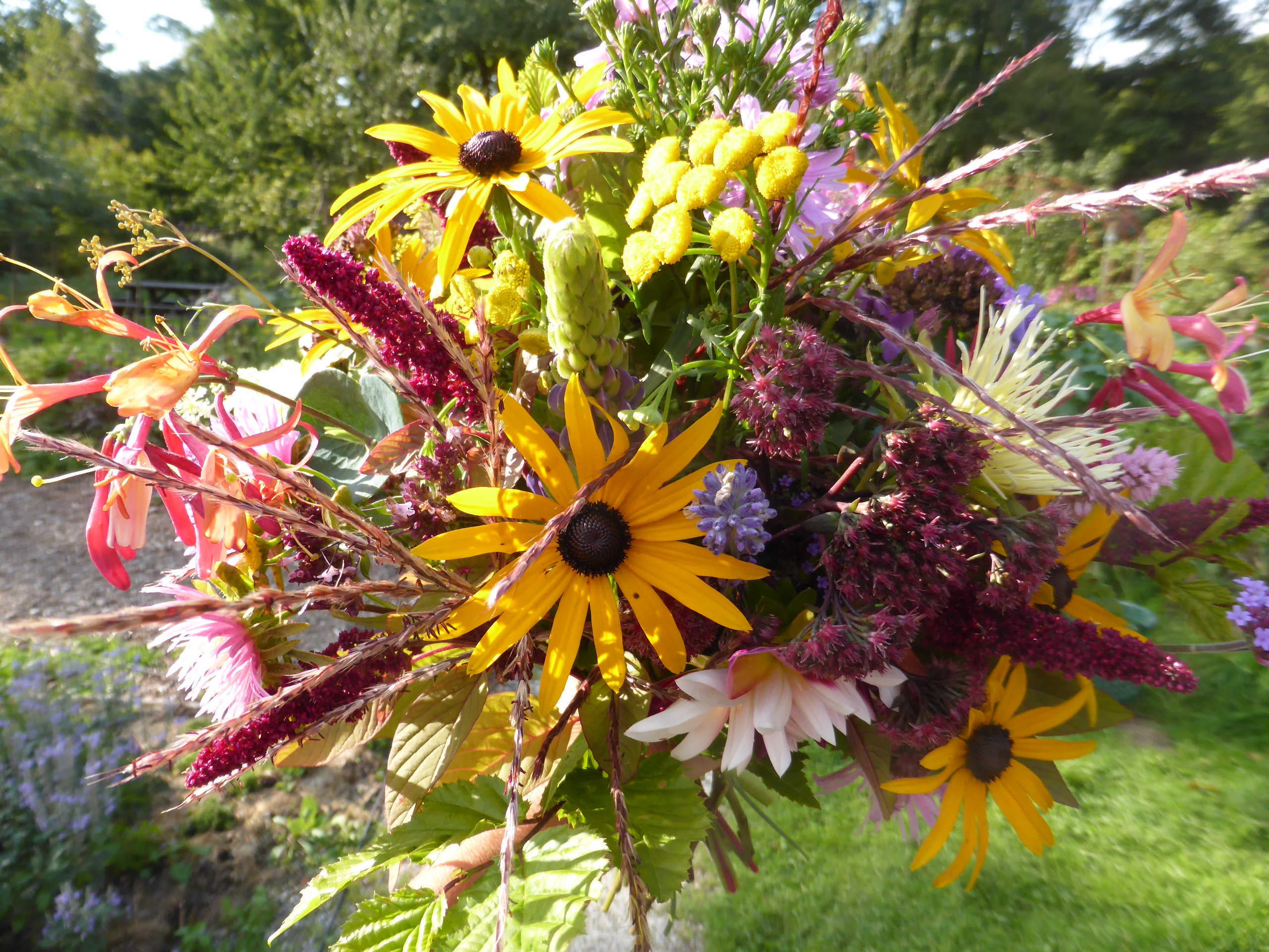 Lezing door Anneke in Bloementuin Sint Franciscus