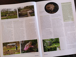 Mooi artikel in blad ecologische hoveniersvereniging