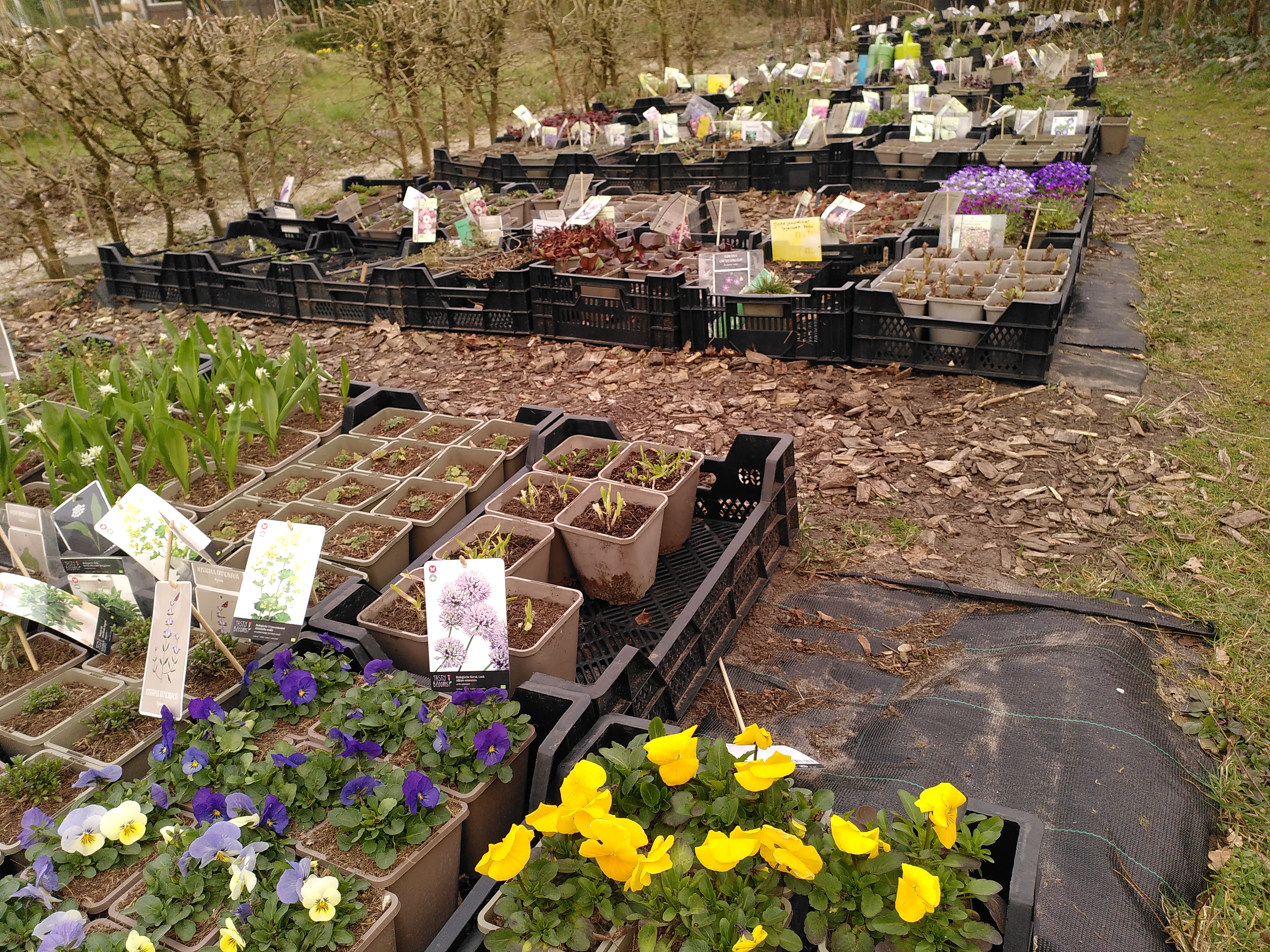 Kies voor biologische planten, weer volop keuze