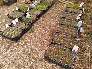 IMG_20250321_171902