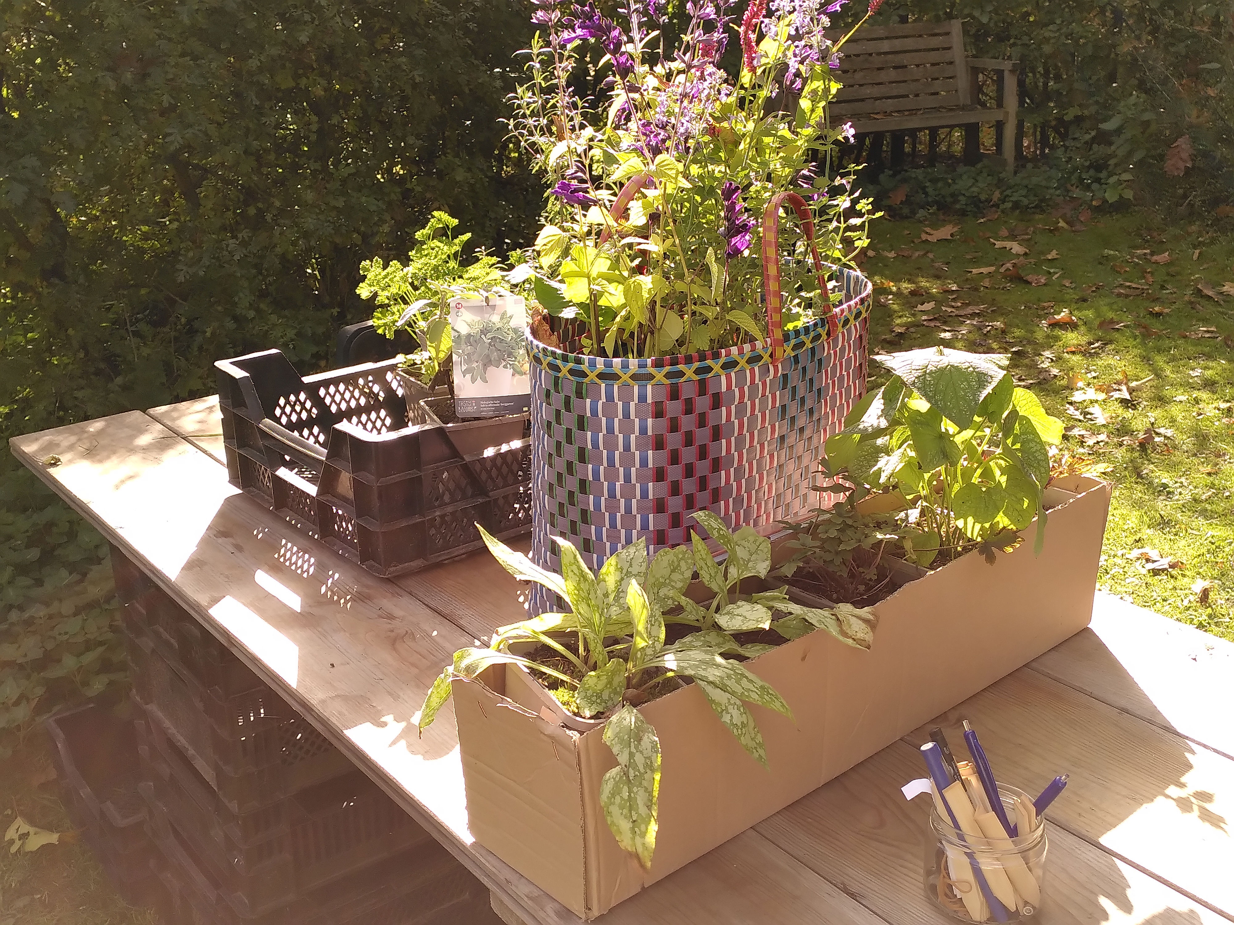 Hoe kom ik aan biologische planten?