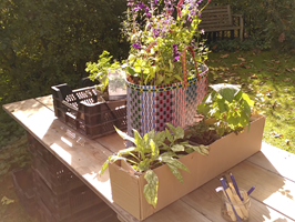 Hoe kom ik aan biologische planten?