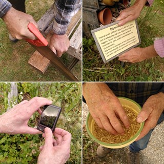 Helpende handen stichting  (3)