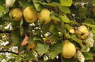 IMG_20250918_123151 1