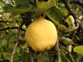 IMG_20250918_123713