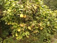 IMG_20250918_123659