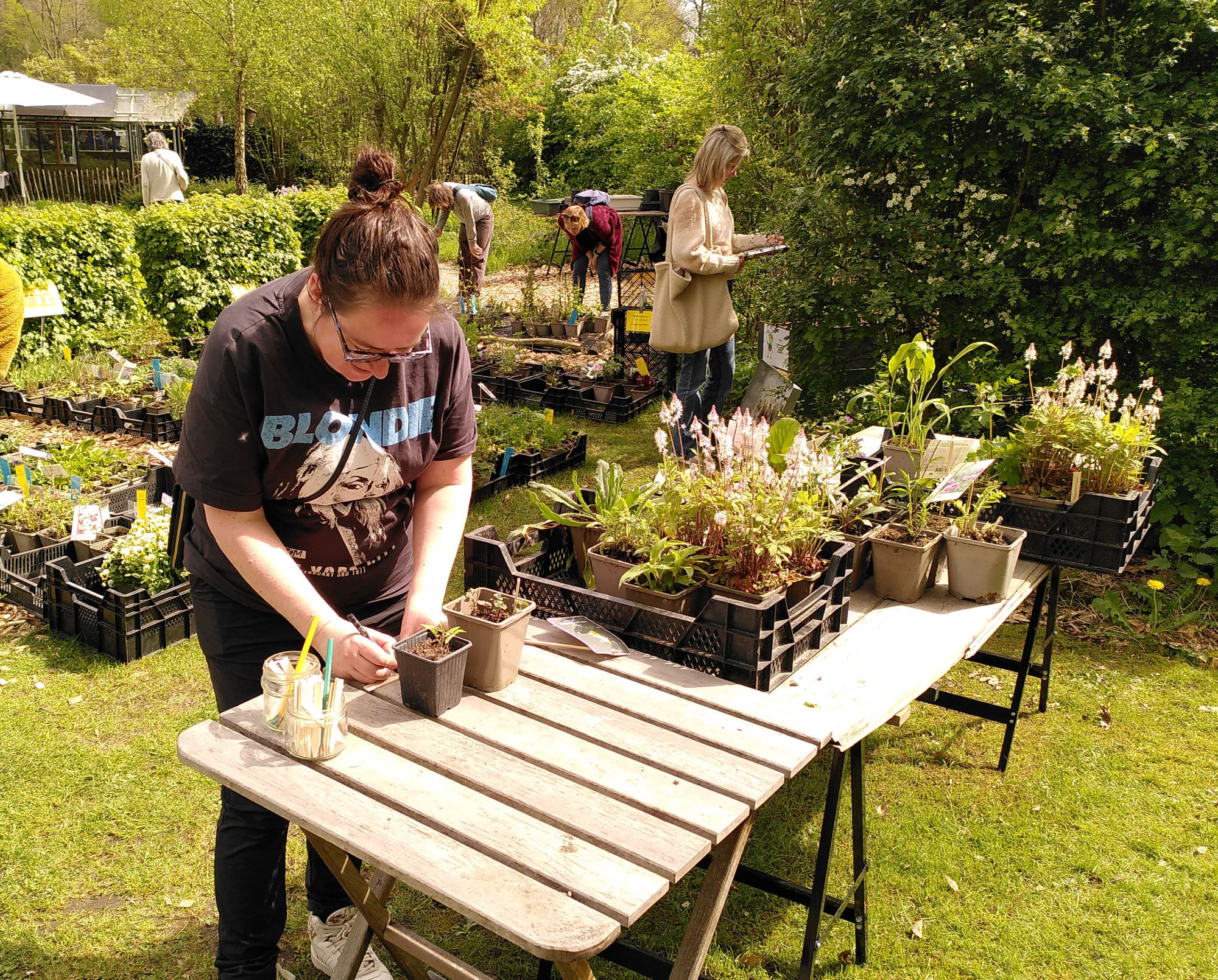 Plantjesdag als start van de najaarsverkoop