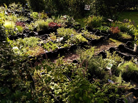 Plantjesdag 2025-09 (2)