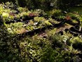 Plantjesdag 2025-09 (2)