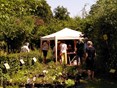 a Plantjesdag 2025-09 (6)