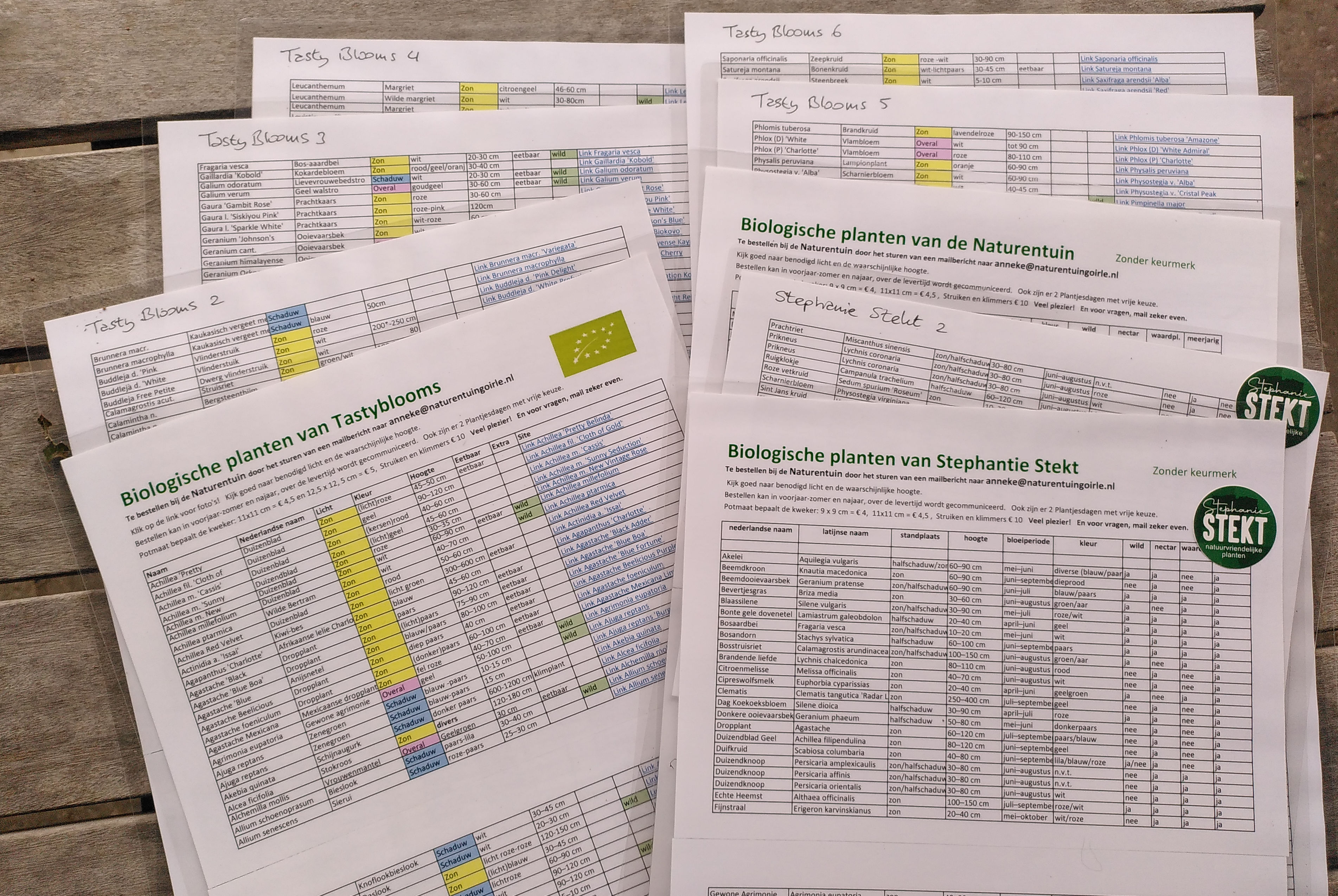 Twee komende zondagen open en plantjes te koop