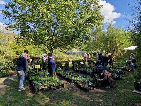 Plantjesdag 2025 1