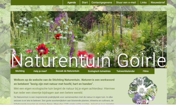 website printscreen